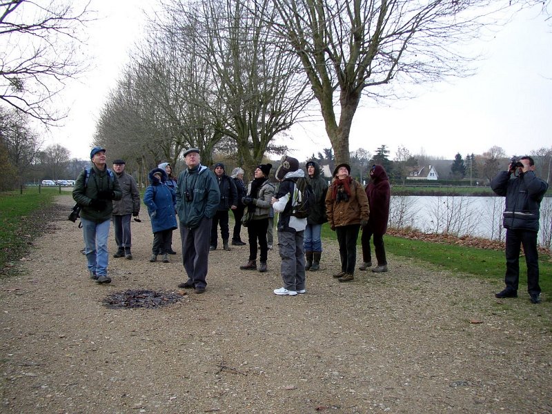 2009-01-13-Sortie ornithologie à ÉEcluzelles